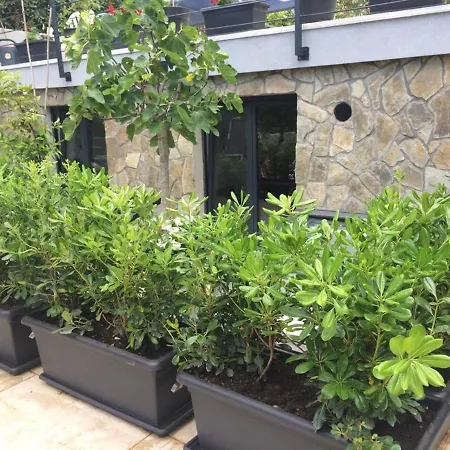 Appartamento Dantes Sin-studio Seaside With Rooftop -